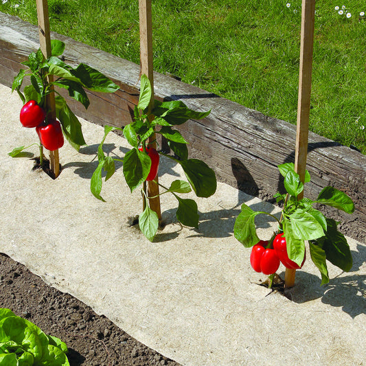 Natürlicher, biologisch abbaubarer Mulch Chanvrelin - Gemüsegarten