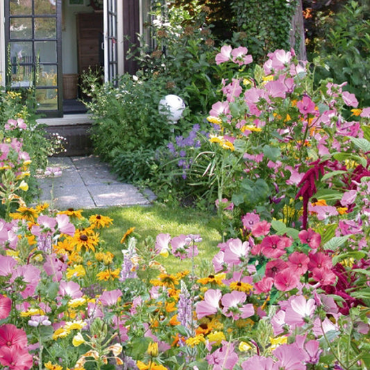 Einjährige Blumenmischung Cottage Garden ür 5 m² - Gemüsegarten