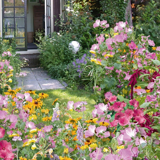 Einjährige Blumenmischung Cottage Garden ür 5 m² - Bakker