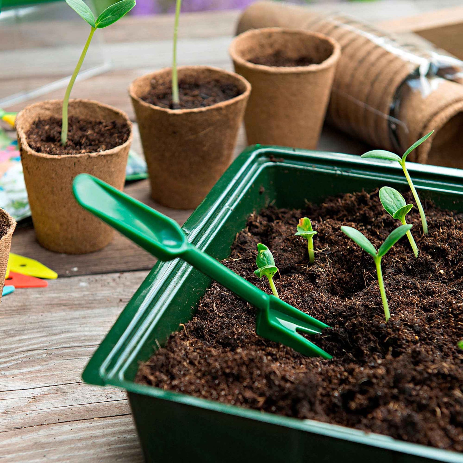 Nature Pikier-Set - Gartenwerkzeug für den Gemüsegarten