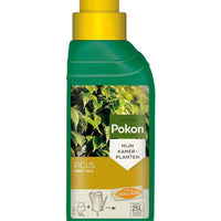 Ficus-Nahrung 250 ml - Pokon - Düngemittel