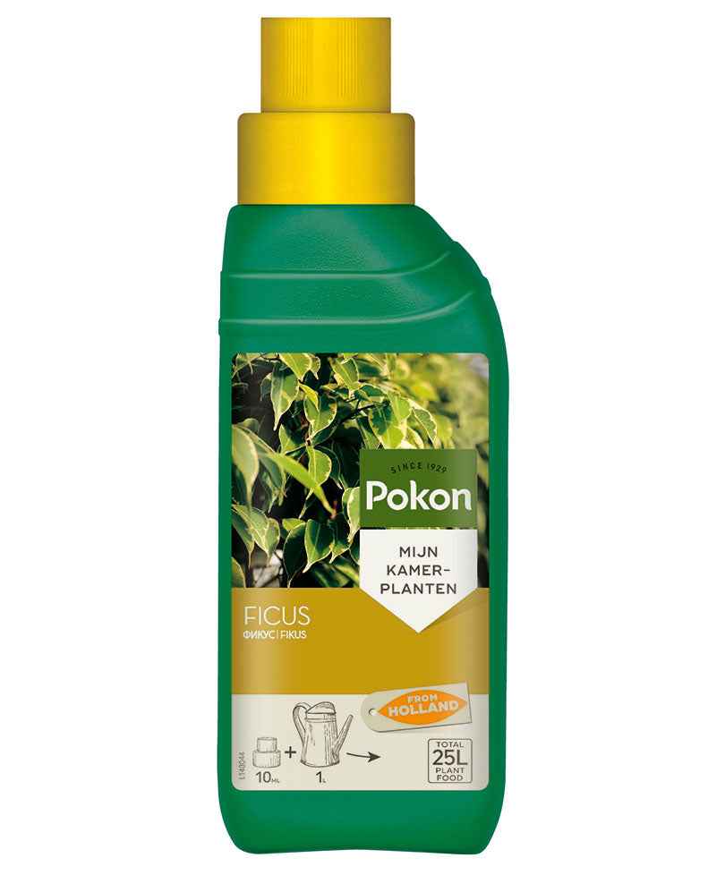 Ficus-Nahrung 250 ml - Pokon - Düngemittel