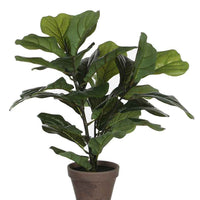 Kunstpflanze Ficus Lyrata - Kunstpflanzen