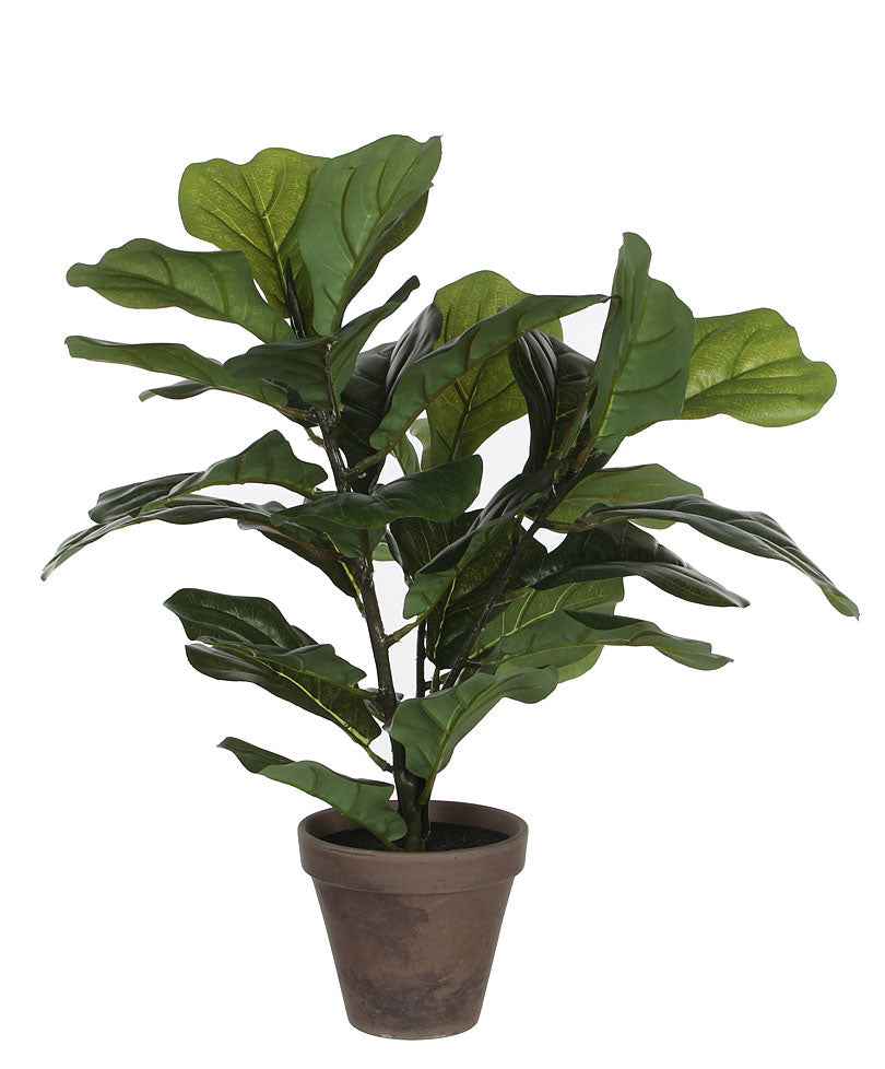 Kunstpflanze Ficus Lyrata - Kunstpflanzen