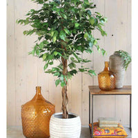 Ficus Benjamina - Alle künstlichen Pflanzen