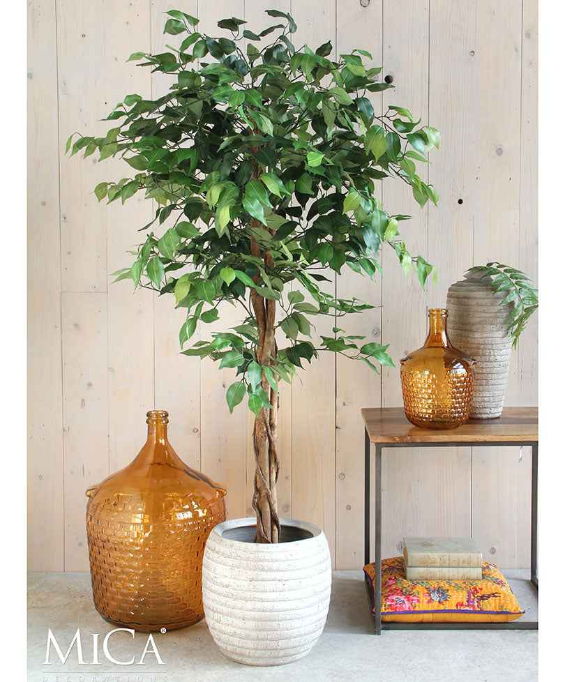 Ficus Benjamina - Grüne Kunstpflanzen