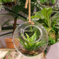 Mica hängende Glaskugel Sil - Blumentopf Größen