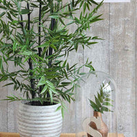Mica Glaskuppel Hella auf Holzbrett - Blumentöpfe mit Ständer