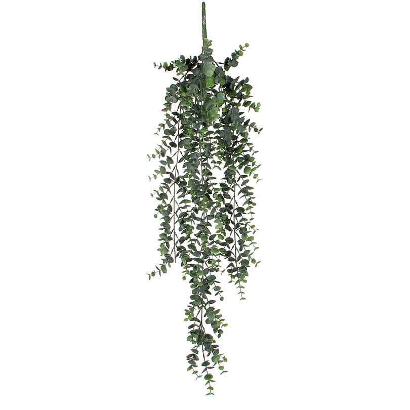 Mica Künstlicher Eukalyptus, hängend - Beliebte Kunstpflanzen