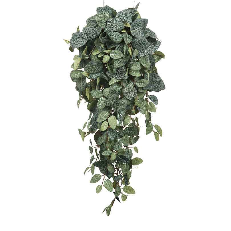 Kunstpflanze Pilea, hängend - Beliebte Kunstpflanzen