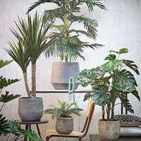 Künstliche Areca-Palme inkl. Runder Ziertopf, Kunststoff - Grüne Kunstpflanzen