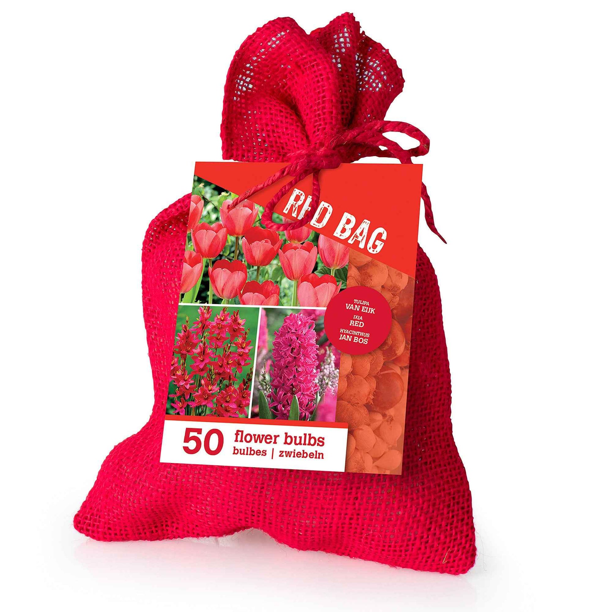 50x Blumenzwiebeln mit Jutetasche  Rot - Blumenzwiebelpakete