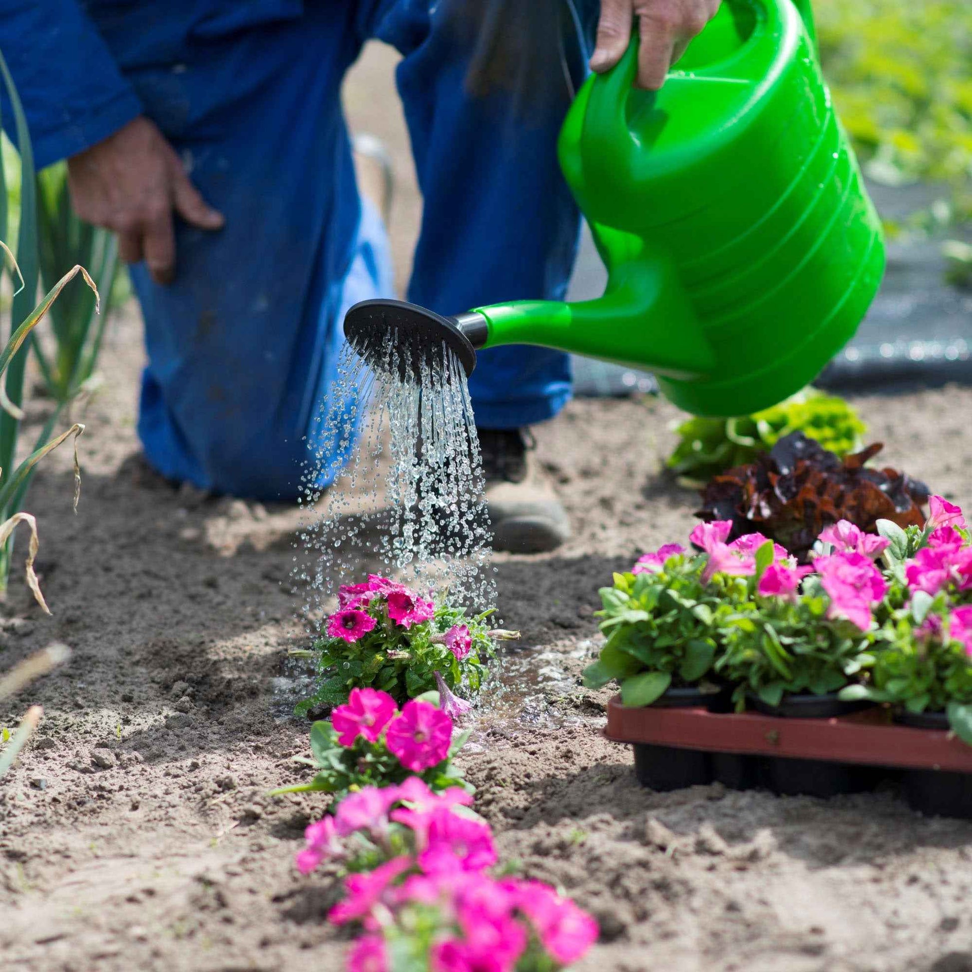 Nature Gießkanne aus Kunststoff 10 Liter - Gartenpflanzen Pflege