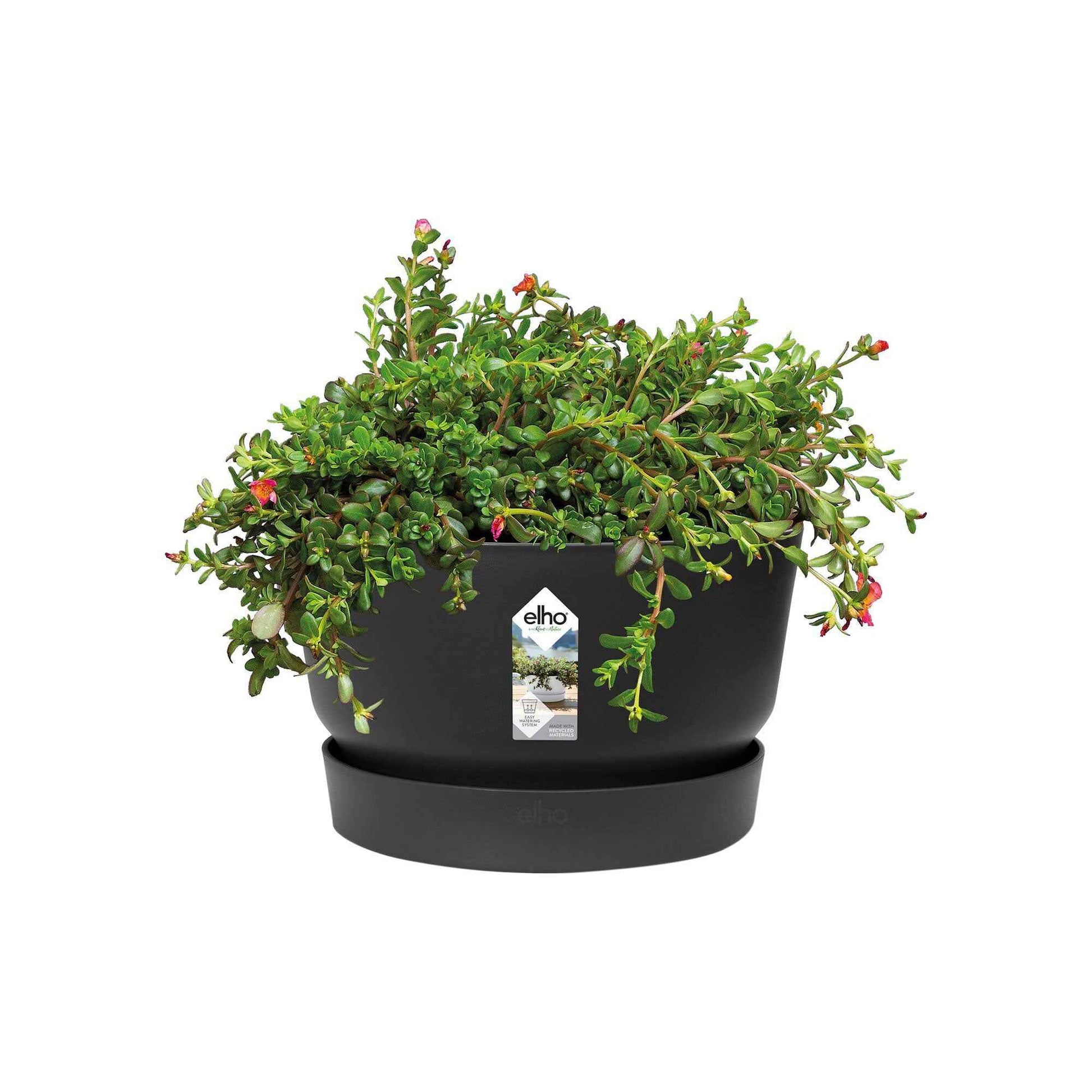 Elho Schale Greenville rund schwarz - Außentopf - Blumentopf Modelle
