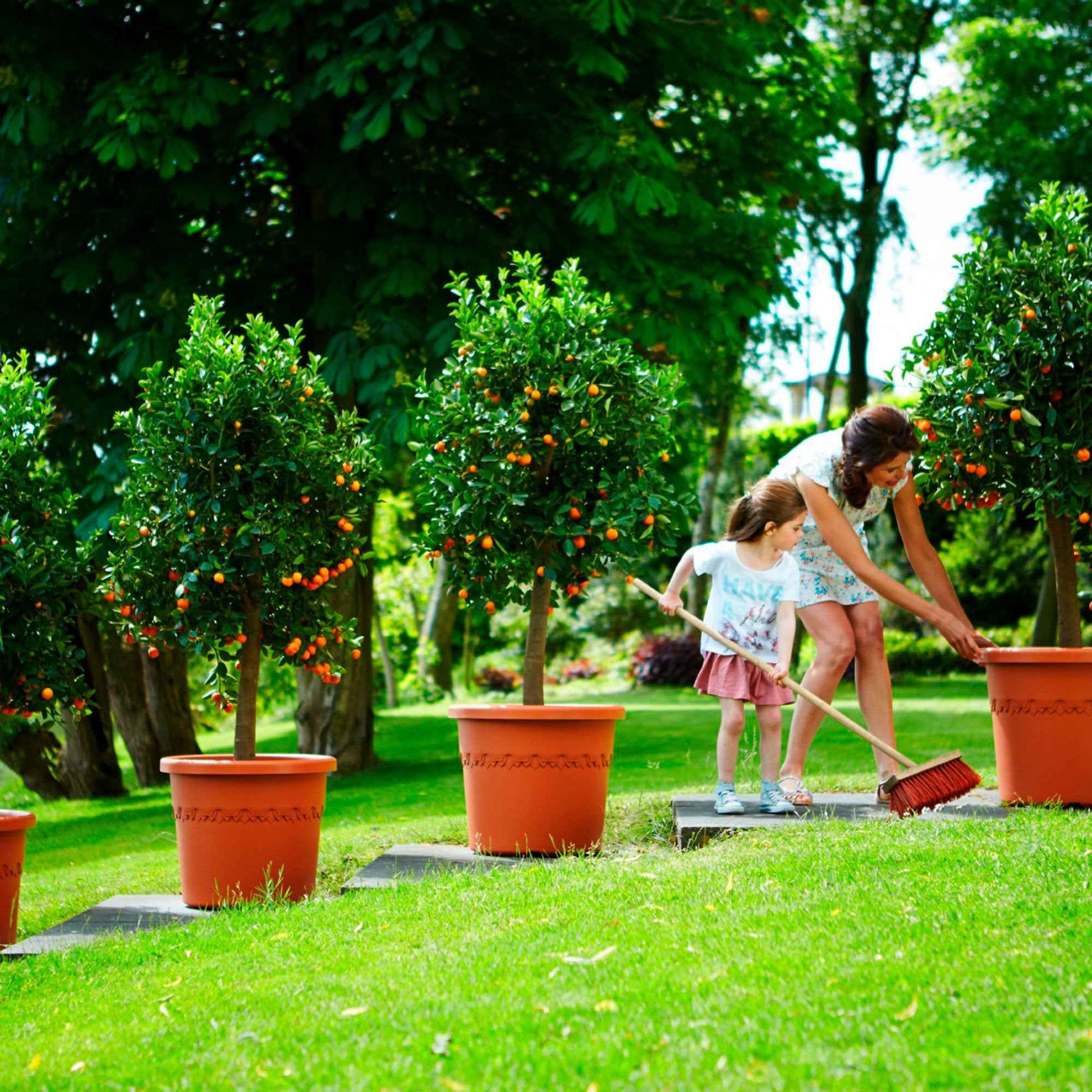 Elho Blumentopf Algarve Cilindro rund terra inkl. Rollen - Außentopf - Blumentöpfe mit Rädern