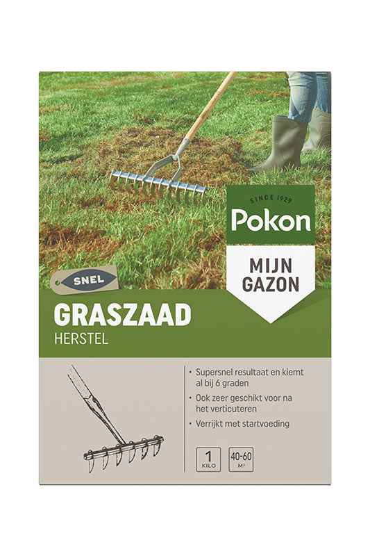 Grassamen zur SOS-Regenerierung von Rasen - Pokon - Einen Rasen anlegen
