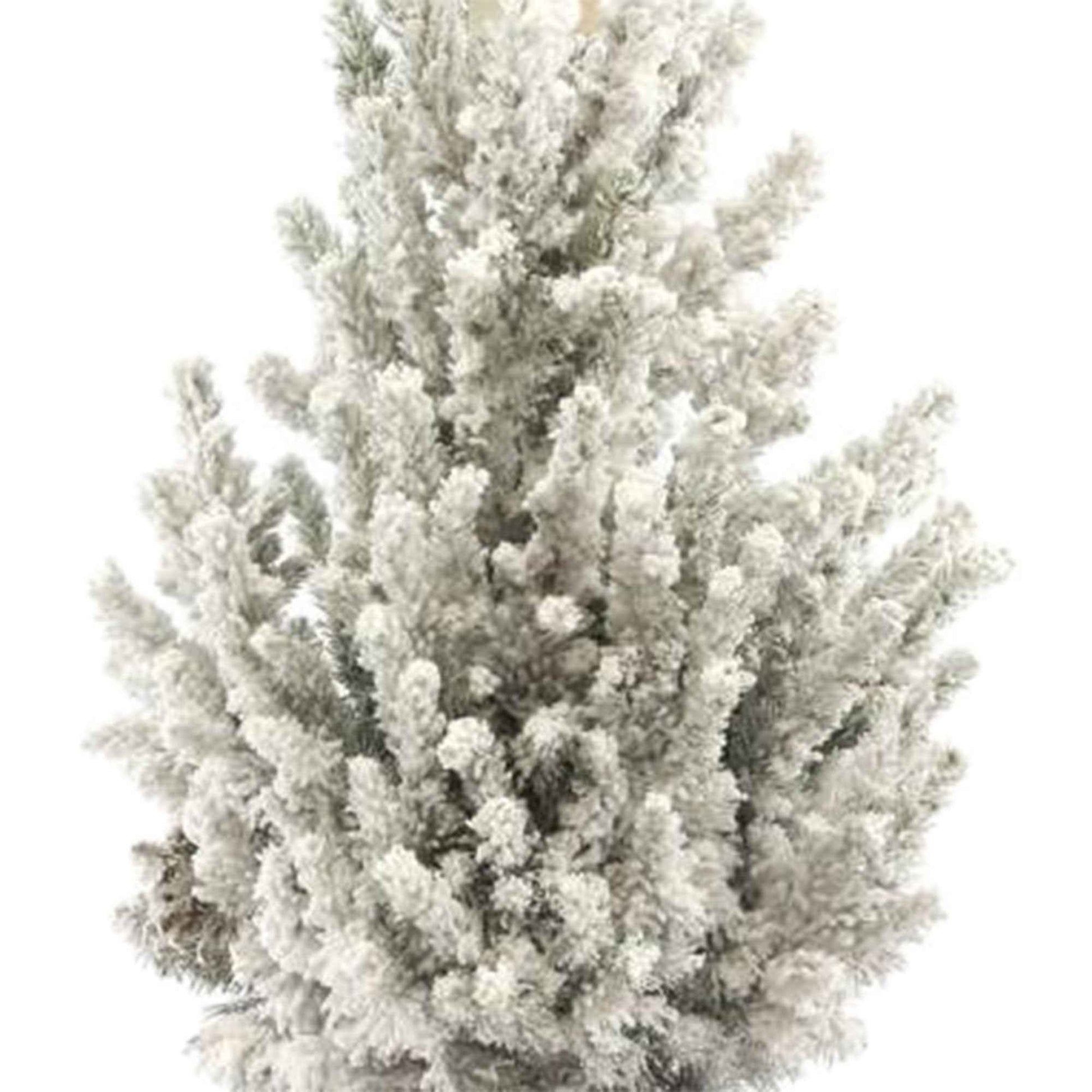 Picea glauca, grün-weiß mit Schnee inkl. Korb, cremefarben  - Mini Weihnachtsbaum - Alle Bäume und Hecken