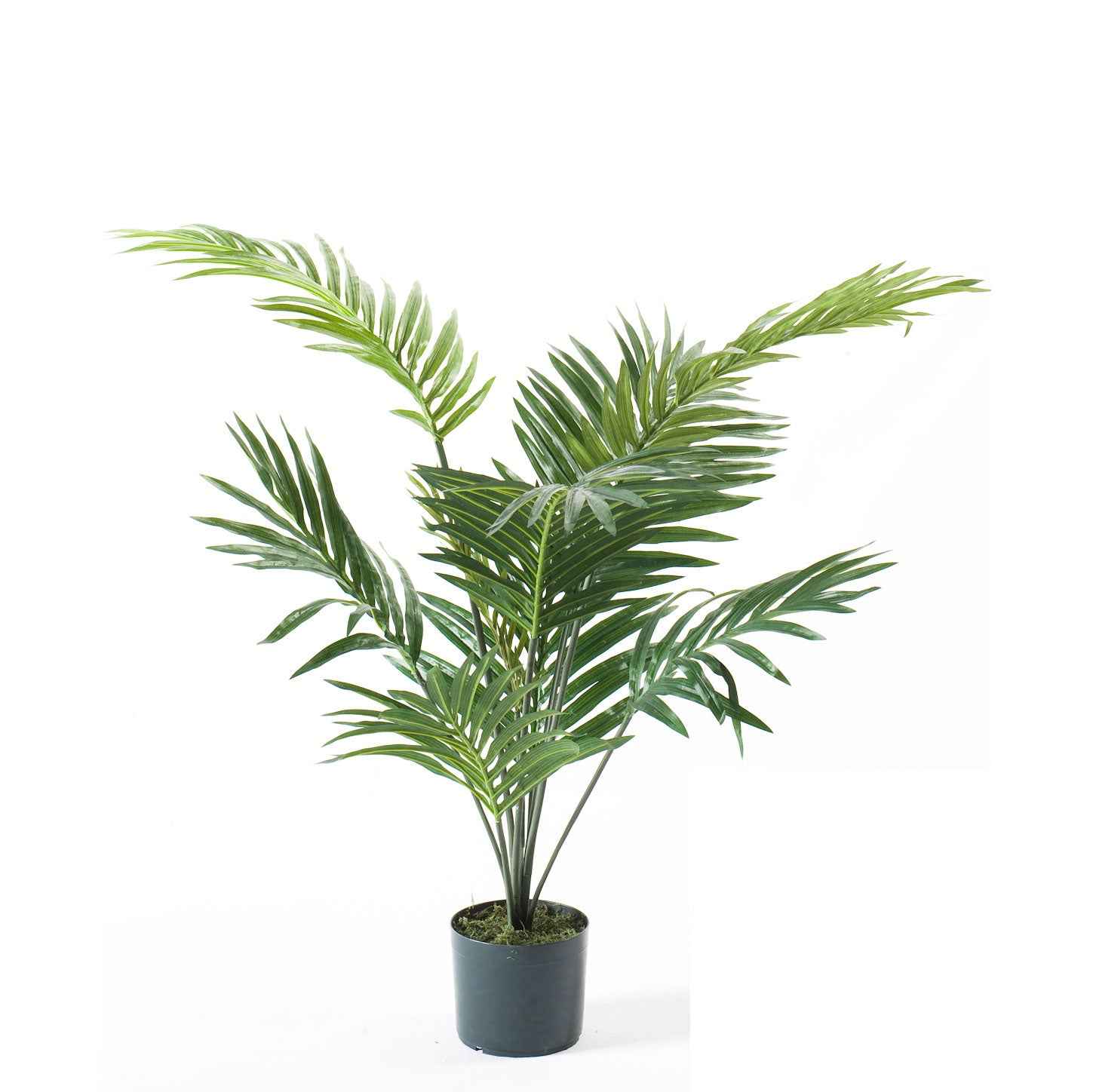 Künstliche Pflanze Areca-Palme Dypsis inkl. Ziertopf, schwarz - Grüne Kunstpflanzen