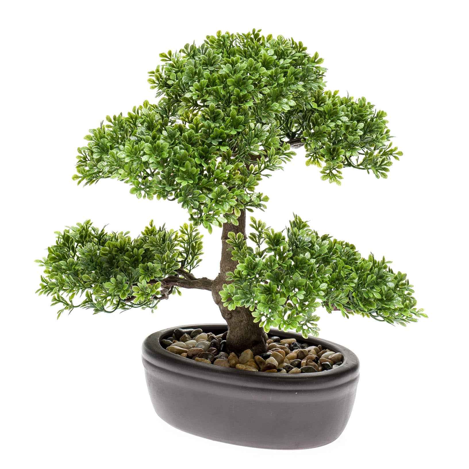 Künstliche Pflanze Bonsaï Ficus inkl. Ziertopf, braun - Beliebte Kunstpflanzen