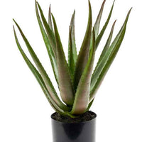 Künstliche Pflanze Aloe vera grün-rot inkl. Ziertopf, anthrazit - Kunstpflanzen
