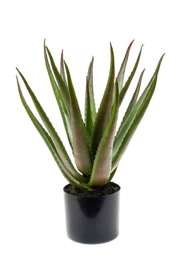 Künstliche Pflanze Aloe vera grün-rot inkl. Ziertopf, anthrazit - Kunstpflanzen