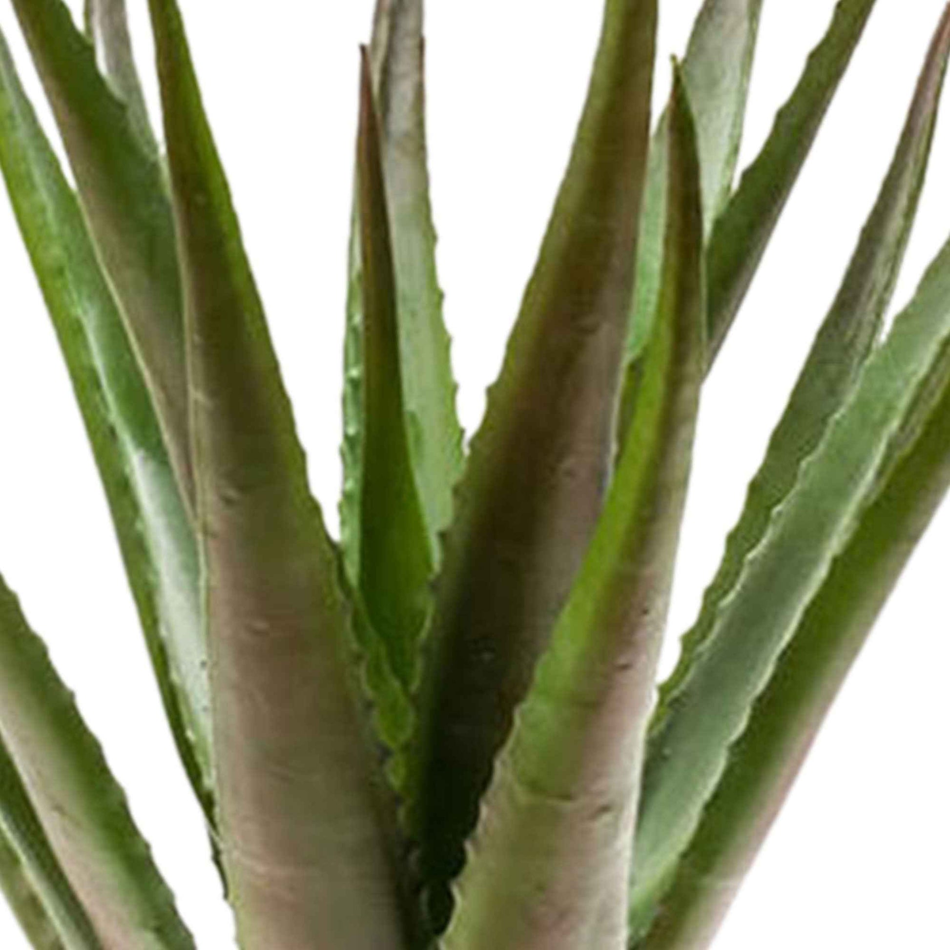 Künstliche Pflanze Aloe vera grün-rot inkl. Ziertopf, anthrazit - Künstliche Sukkulenten