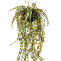 Künstliche Pflanze Farn Nephrolepis  inkl. Hängetopf - Grüne Kunstpflanzen
