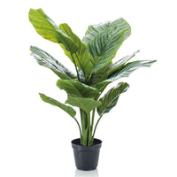 Künstliche Pflanze Calathea inkl. Ziertopf, schwarz - Grüne Kunstpflanzen
