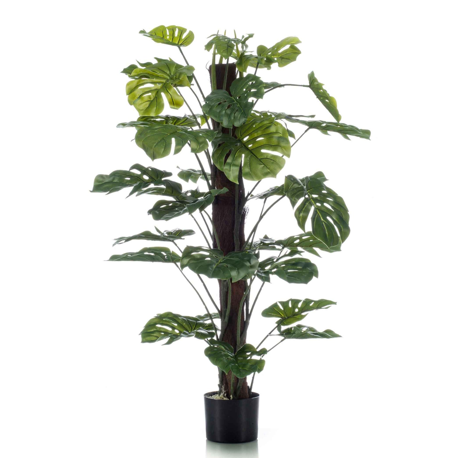 Künstliche Pflanze Fensterblatt Monstera op stam inkl. Ziertopf, schwarz - Große Kunstpflanzen