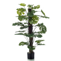 Künstliche Pflanze Fensterblatt Monstera op stam inkl. Ziertopf, schwarz - Grüne Kunstpflanzen