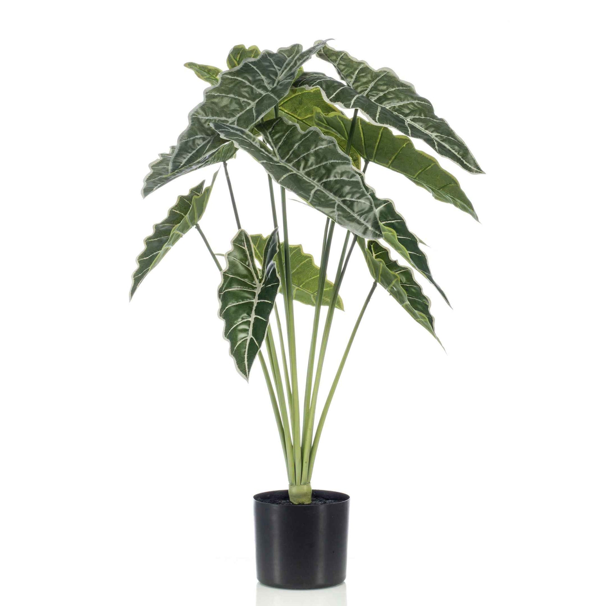 Künstliche Pflanze Elefantenohr Alocasia inkl. Ziertopf, schwarz - Grüne Kunstpflanzen