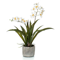 Künstliche Pflanze Orchidee Oncidium weiβ-gelb inkl. Ziertopf aus Keramik - Grüne Kunstpflanzen