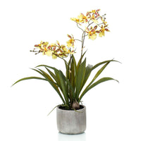 Künstliche Pflanze Orchidee Oncidium gelb inkl. Ziertopf aus Keramik - Grüne Kunstpflanzen