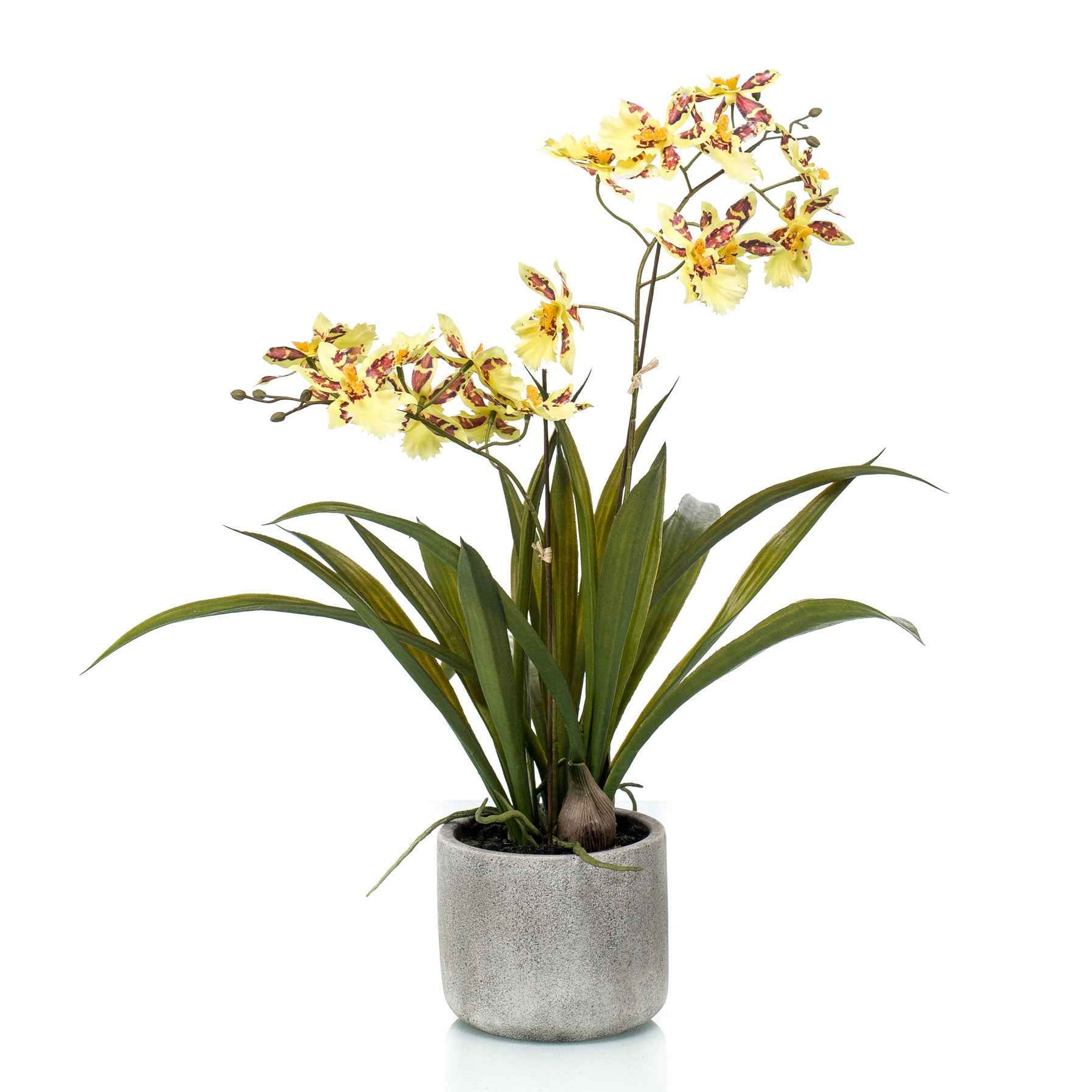 Künstliche Pflanze Orchidee Oncidium gelb inkl. Ziertopf aus Keramik - Grüne Kunstpflanzen