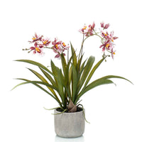 Künstliche Pflanze Orchidee Oncidium rosa inkl. Ziertopf aus Keramik - Grüne Kunstpflanzen