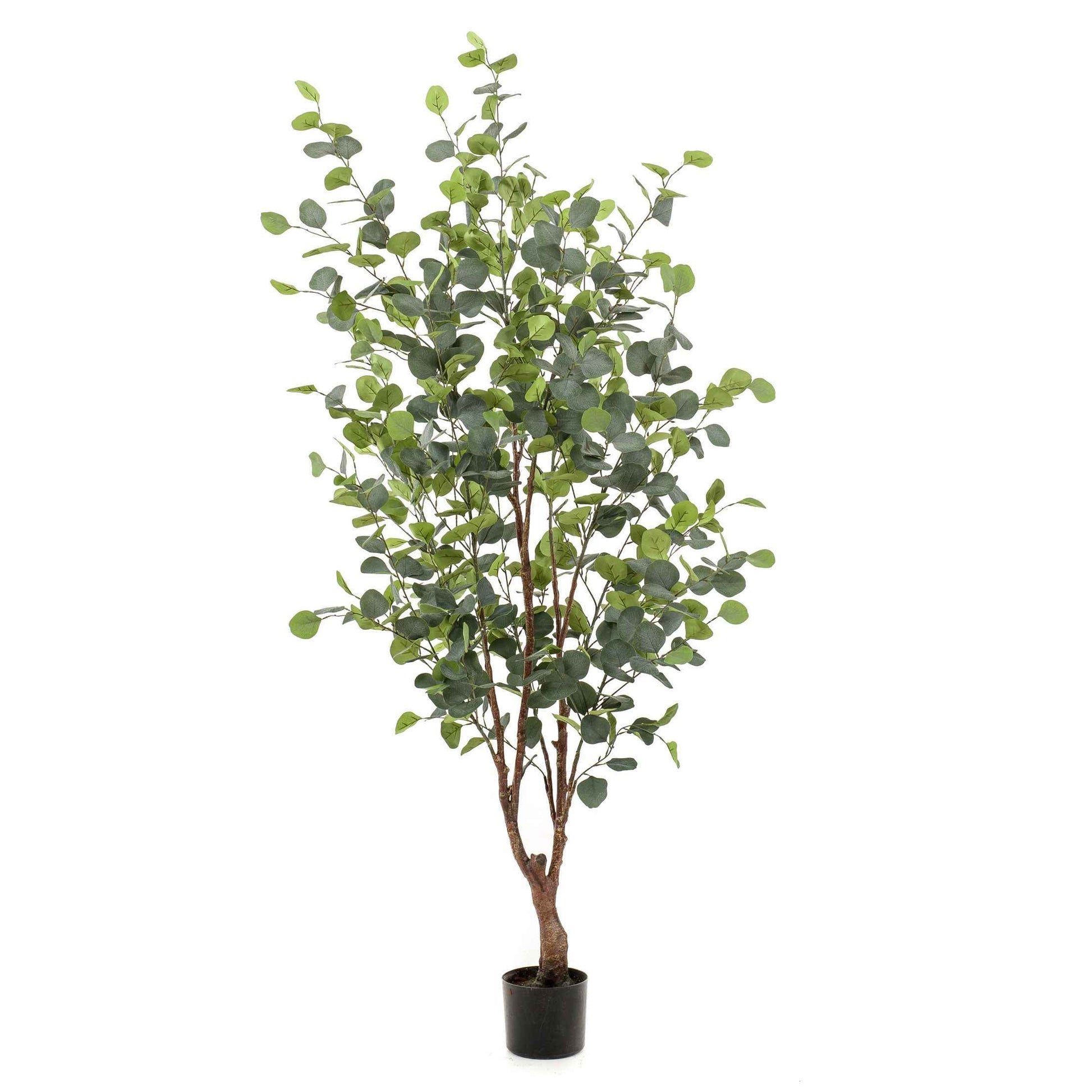 Künstliche Pflanze Eukalyptus inkl. Ziertopf, schwarz - Grüne Kunstpflanzen