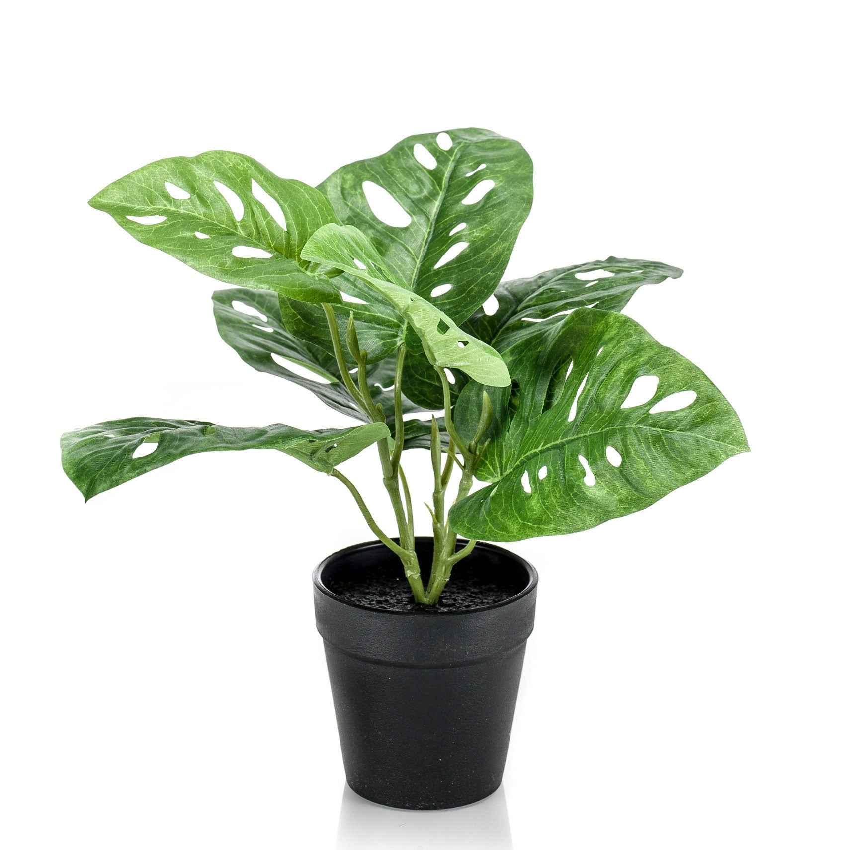 Künstliche Pflanze Fensterblatt Monstera 'Monkey Leaf' inkl. Ziertopf, schwarz - Beliebte Kunstpflanzen