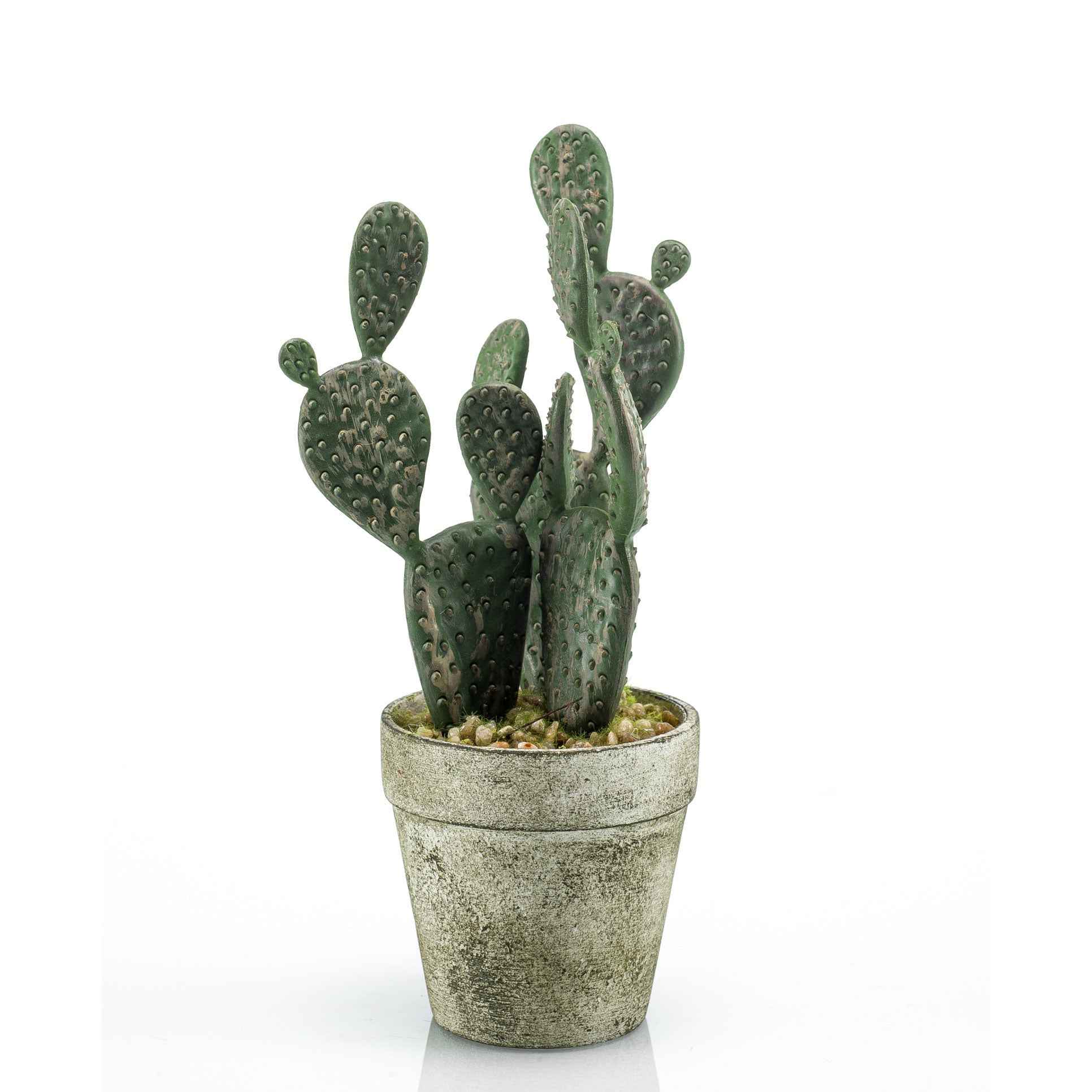 Künstliche Pflanze Cactus raquettes inkl. Ziertopf, grau - Beliebte Kunstpflanzen