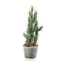 Künstliche Pflanze Cactus Stetsonia inkl. Ziertopf, grau - Angebote