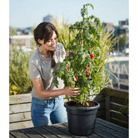 Elho Tomatentopf Green basics rund schwarz - Außentopf - Blumentopf Größen