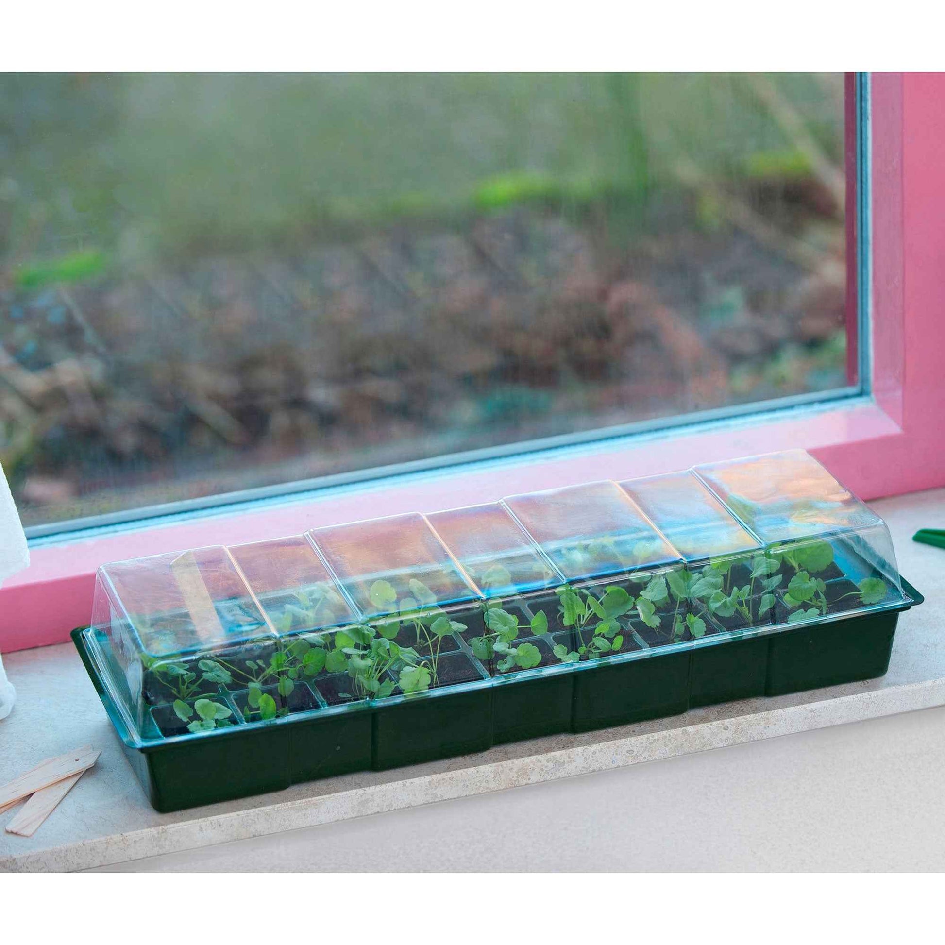 Nature Fensterbank-Anzuchtkasten aus Kunststoff grün - Anzuchttöpfe