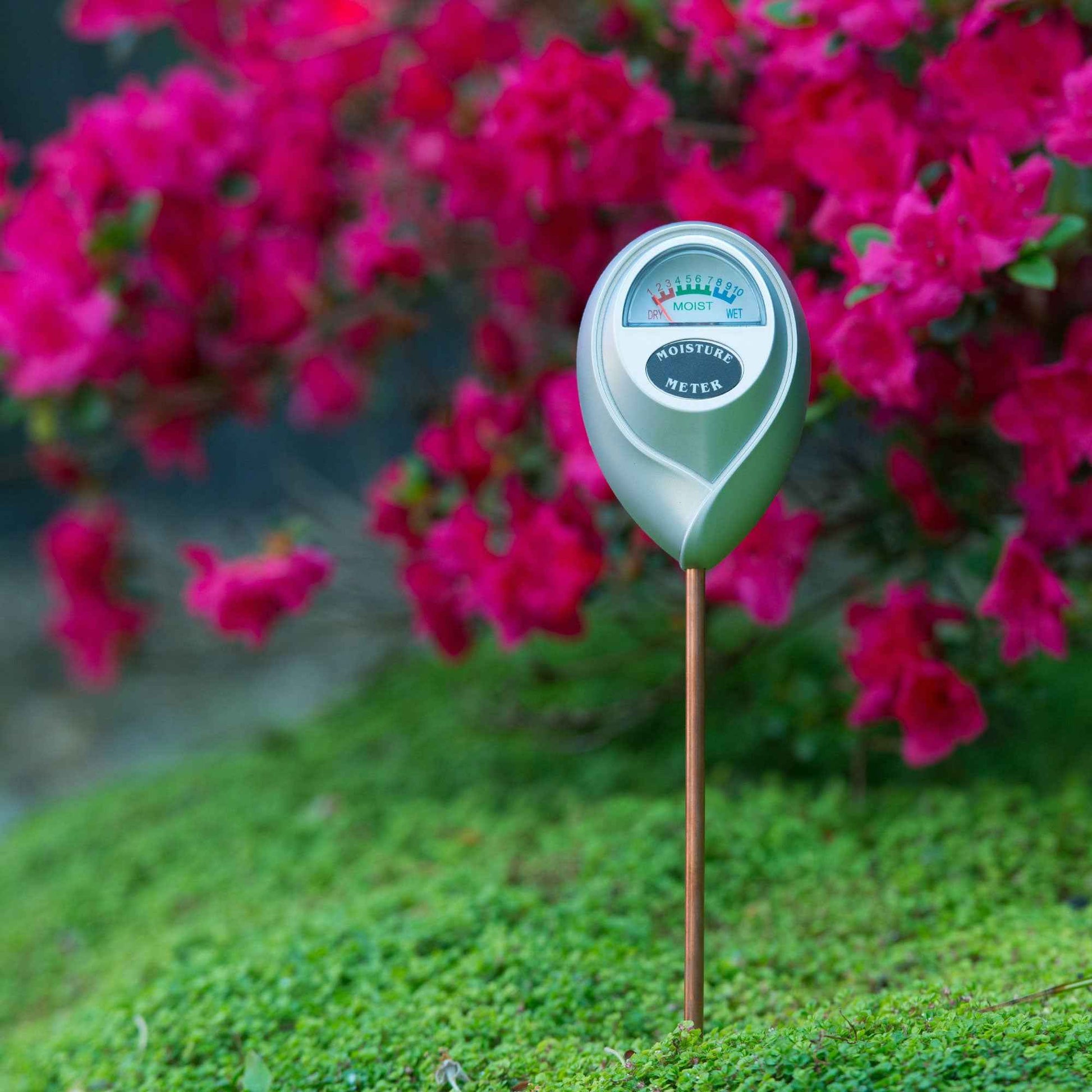 Nature Feuchtigkeitsmesser aus Kunststoff silber - Gartenwerkzeug