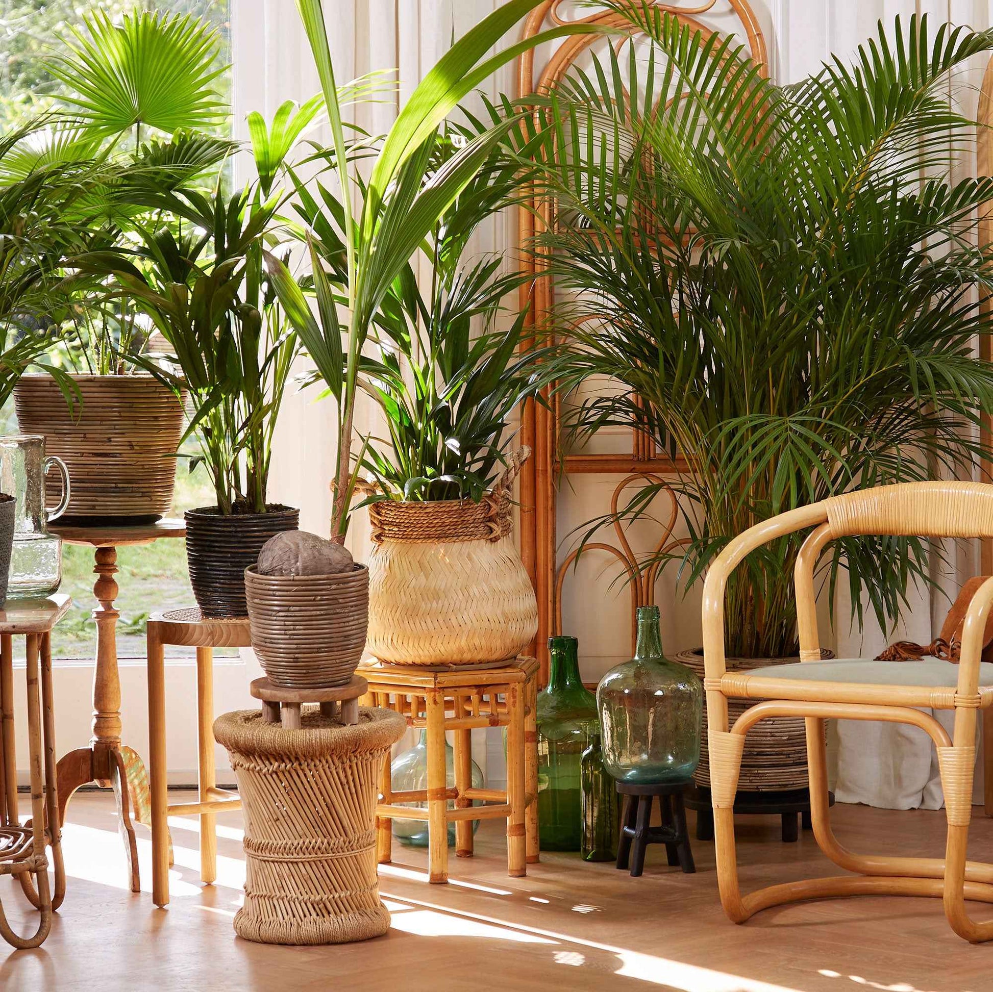 Bambuskorb rund braun - Innen- und Außentopf - Blumentopf Größen