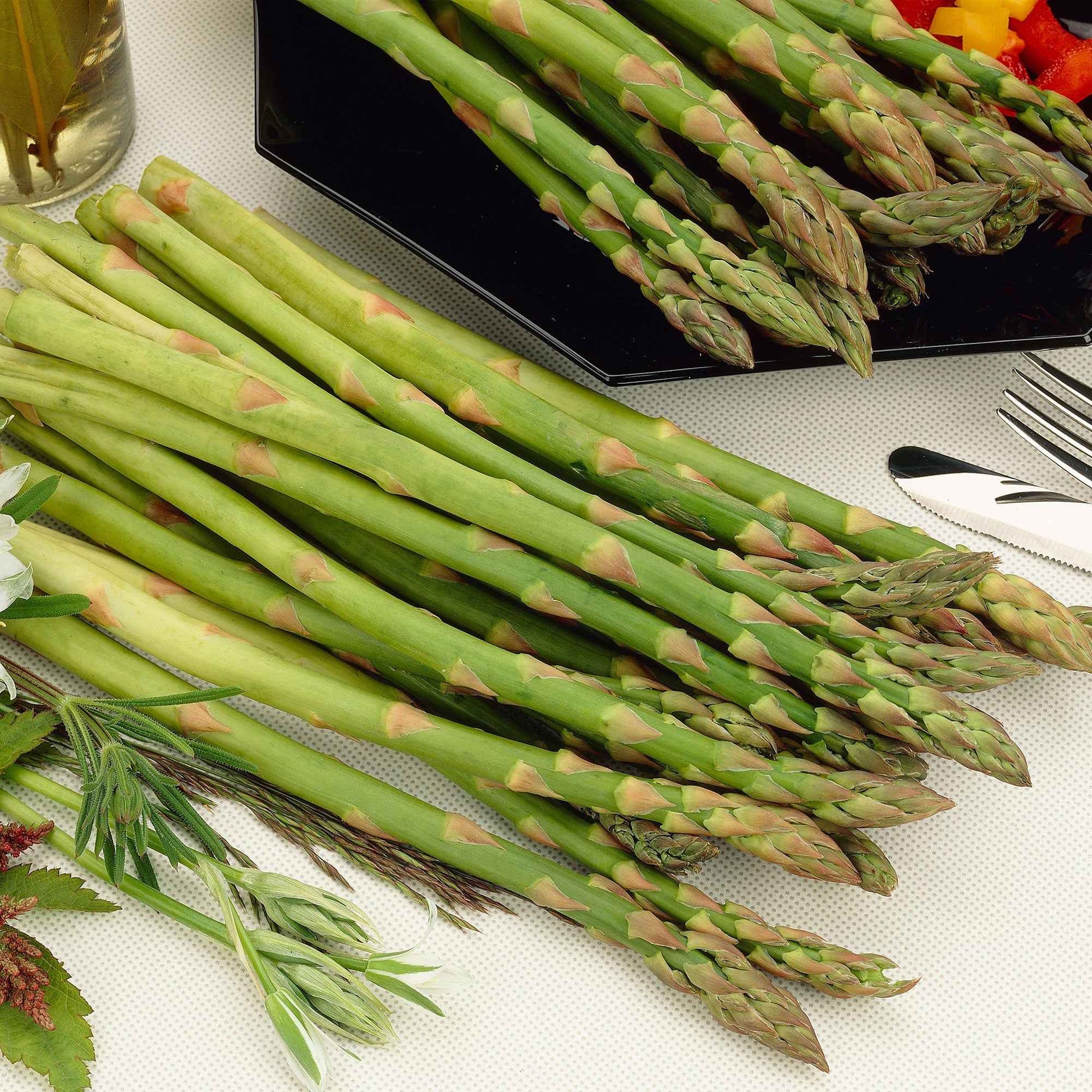 Grüner Spargel Asparagus 'Vegalim' Biologisch - Gemüse