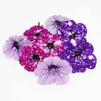 3x Petunia - Mischung 'Sky Mix' lila-rosa-blau - Beetpflanzen-Mix