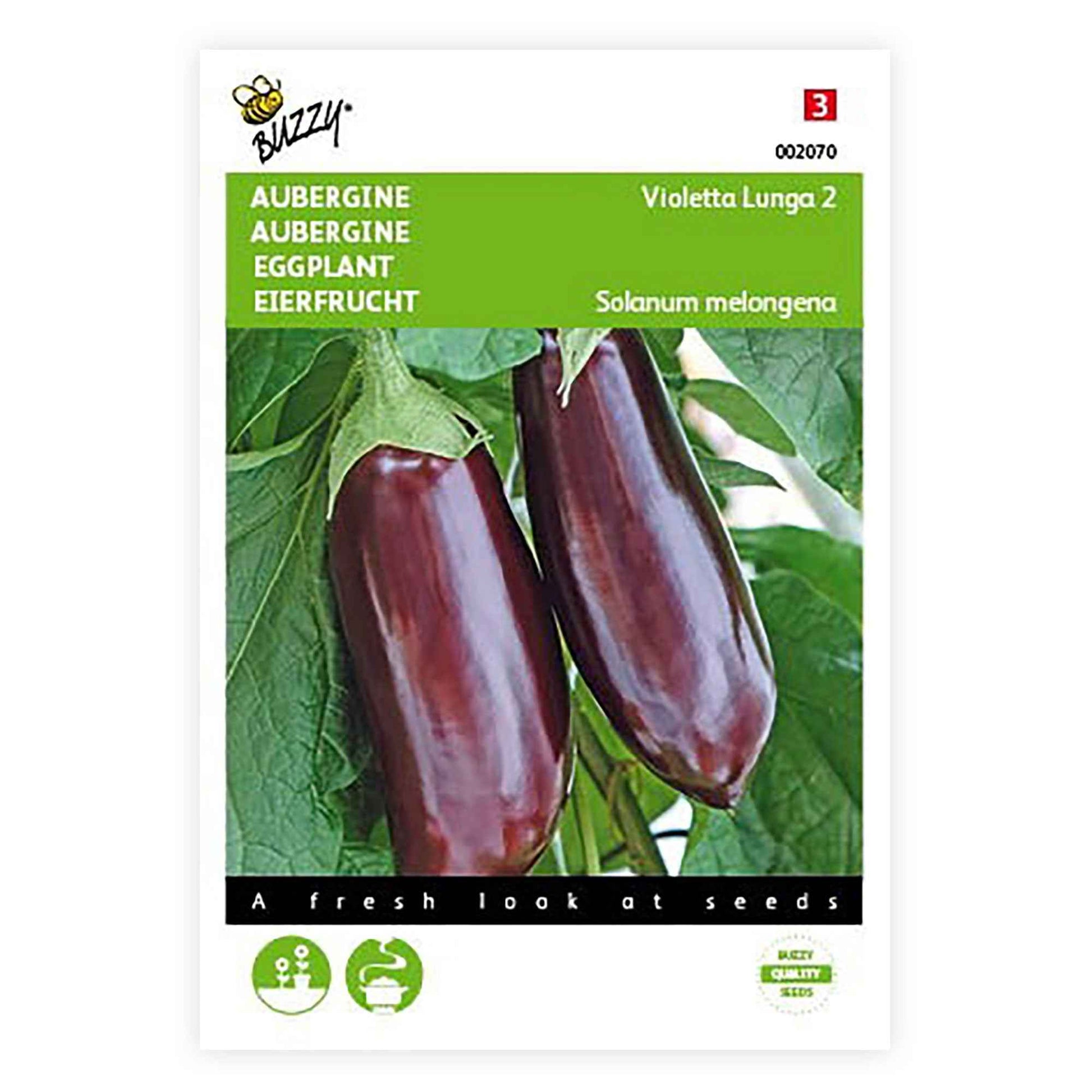 Aubergine Solanum 'Violetta Lunga' 10 m² - Gemüsesamen - Gemüsegarten