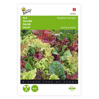 Salat Lactuca - Mischung 10 m² - Gemüsesamen - Gartenpflanzen