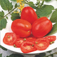 Tomate Solanum 'Super Roma' rot 2 m² - Gemüsesamen - Gemüsesaat
