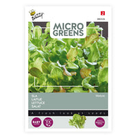 Salat Lactuca sativa - Mischung - Gemüsesamen - Saatgut