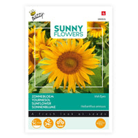 Sonnenblume Helianthus 'Irish Eyes' gelb 3 m² - Blumensamen - Gartenpflanzen